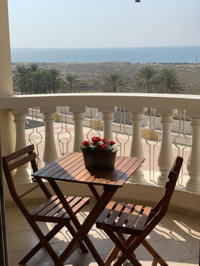 Wait N Sea  Sea View Studio Ras Al Khaimah Accommodation Dubai