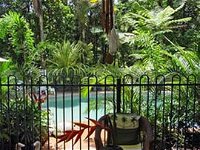 Daintree Rainforest Retreat Motel - Accommodation Resorts