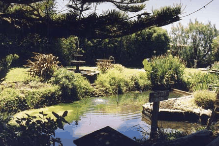 Bayside Gardens - Geraldton Accommodation