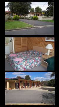 Ace Swan Motel - Accommodation Mt Buller