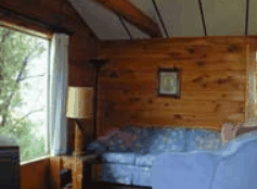 The Pines Resort - Accommodation Mt Buller