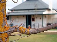 Dunalan Cottage - Accommodation Australia
