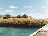 Mt Dutton Bay Woolshed Hostel