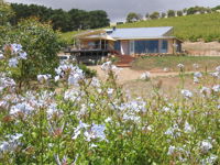 The Blue Grape Vineyard Accommodation - Mackay Tourism