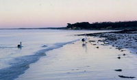 Loverings Beach House - D'estrees Bay - Townsville Tourism