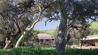 Brooklyn Farm Bed and Breakfast - Accommodation NT