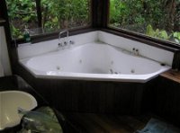 The Canopy Rainforest Tree Houses and Wildlife Sanctuary - Kempsey Accommodation