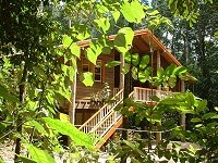 Rivers Edge Rainforest Retreat - Yamba Accommodation