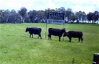 Cluan Homestead - The Managers Residence - Mackay Tourism