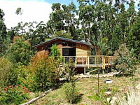 Southern Forest Accommodation - Mackay Tourism