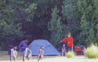 Maria Island Camping Ground - Accommodation Brisbane