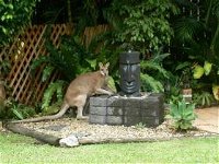 Bluewater Bed and Breakfast Cairns - Redcliffe Tourism