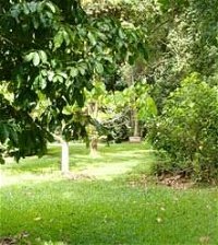 Kingfisher Park Birdwatchers Lodge - Townsville Tourism