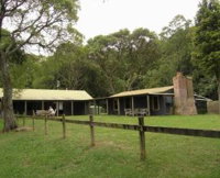 Tree Fern Lodge - Accommodation Sunshine Coast