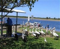 Mountain View Caravan and Mobile Home Village - Port Augusta Accommodation