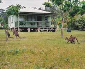 Berringer Lake NSW Tourism Cairns