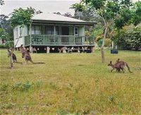 Berringer Lake Holiday Cottages - ACT Tourism