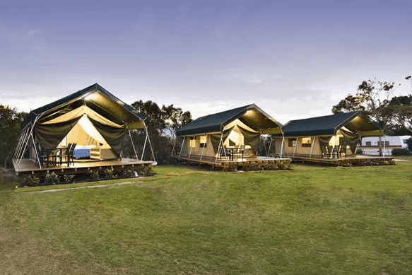 Hastings Point Holiday Park - C Tourism
