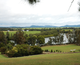 Woombah NSW Accommodation Daintree