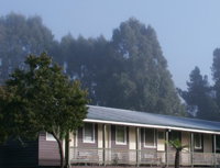 Bondi Forest Lodge - Accommodation Brisbane