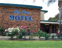 Fig Tree Motel - C Tourism