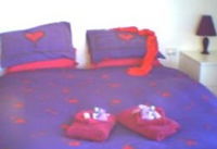 Aloomba Lavender - Accommodation - Accommodation Noosa