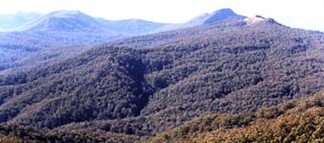 Carrowbrook NSW Tourism Search