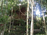 Adjinbilly Rainforest Retreat Cabins - Accommodation Sydney