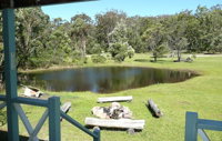 Possums Hollow and Hooters Hut - Accommodation Gold Coast
