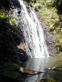 Beechmont QLD Accommodation BNB