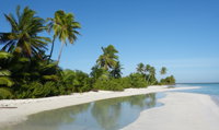 Cocos Seaview - Redcliffe Tourism
