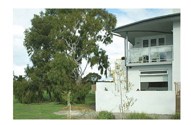 Clifton Hill VIC Yarra Valley Accommodation