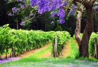 Bago Vineyards - Accommodation Australia
