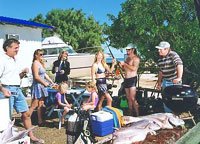 Shark Bay Cottages - Nambucca Heads Accommodation