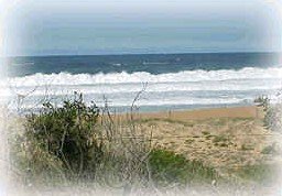 Hardys Bay NSW Coogee Beach Accommodation