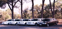 Hollywood VIP Limousines - Surfers Gold Coast