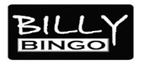 Billy Bingo  Village Green Hotel - Accommodation Bookings