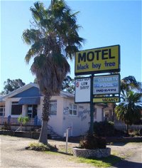 Blackboy Tree Motel - Accommodation Airlie Beach