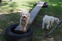 Beenleigh Pet Motel - Accommodation Bookings