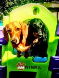 AAA Pet Motel - WA Accommodation