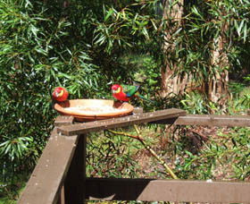 Trent WA Accommodation Mt Buller