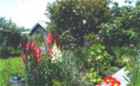 Hopfield Country Cottages - Accommodation 4U