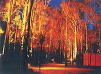 Dwellingup Chalet amp Caravan Park - Accommodation in Brisbane