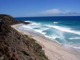 Haines SA Surfers Gold Coast