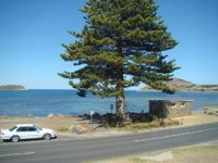 Oceanview - Accommodation Port Macquarie