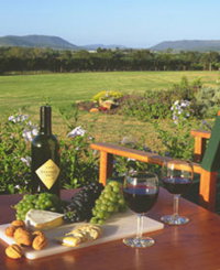 Tranquil Vale Vineyard Cottages - Accommodation BNB