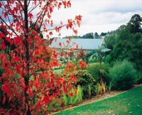 Paganetti's Luxury Country Escape - Accommodation Coffs Harbour