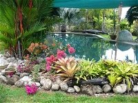 Daintree Wild Bed And Breakfast - Surfers Gold Coast