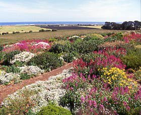 Tower Hill VIC Great Ocean Road Tourism