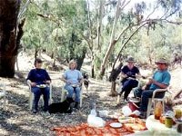 Bimbimbi And Little Hollow Farm Stay - Accommodation Port Hedland
